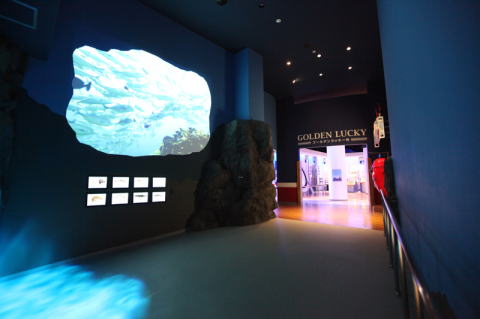 福島県の水族館デジタルサイネージ