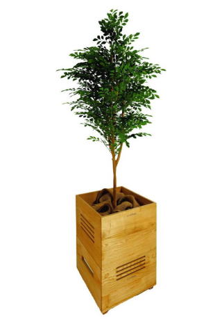 クーネプランター　サウンドマスキング